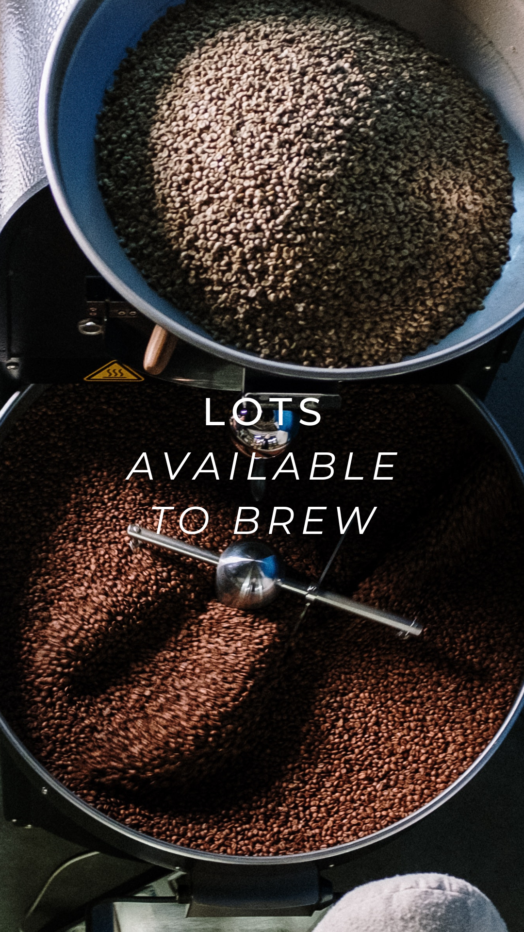 Light Roast vs Dark Roast: What Should You Brew at Home?