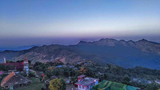 A New Terroir : Nagaland Specialty Coffe