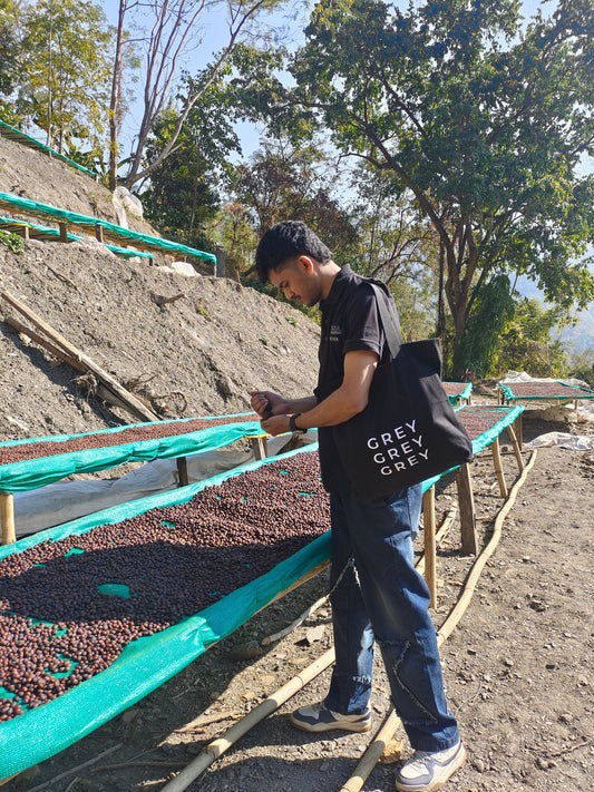 PROCESSING and FERMENTATION IN NAGALAND: HOW GREY SOUL HELPED SHAPE A NEW FLAVOUR LANGUAGE ROASTING NORTH-EAST INDIAN COFFEE