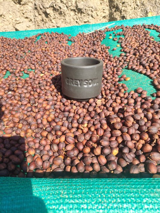 FARMERS, ECONOMICS; IMPACT: HOW SPECIALTY COFFEE CHANGED PERCEPTION NAGALAND’S HIGH-GROWN ARABICA