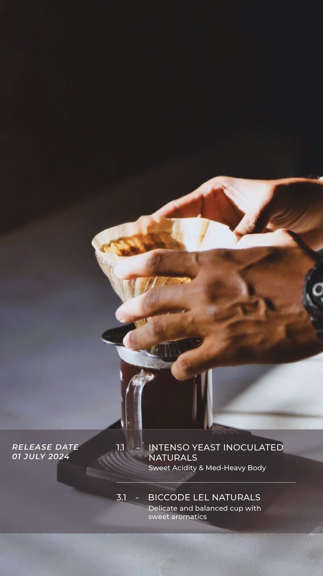 Why India Is the Next Big Thing in Specialty Coffee