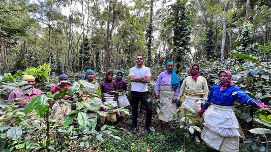 Coffee processing in Indian Specialty Coffee