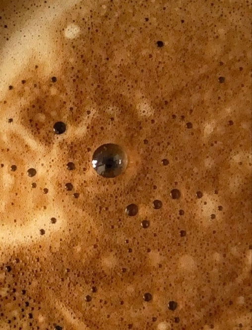 High Grown Espresso (Med-Dark Profile)