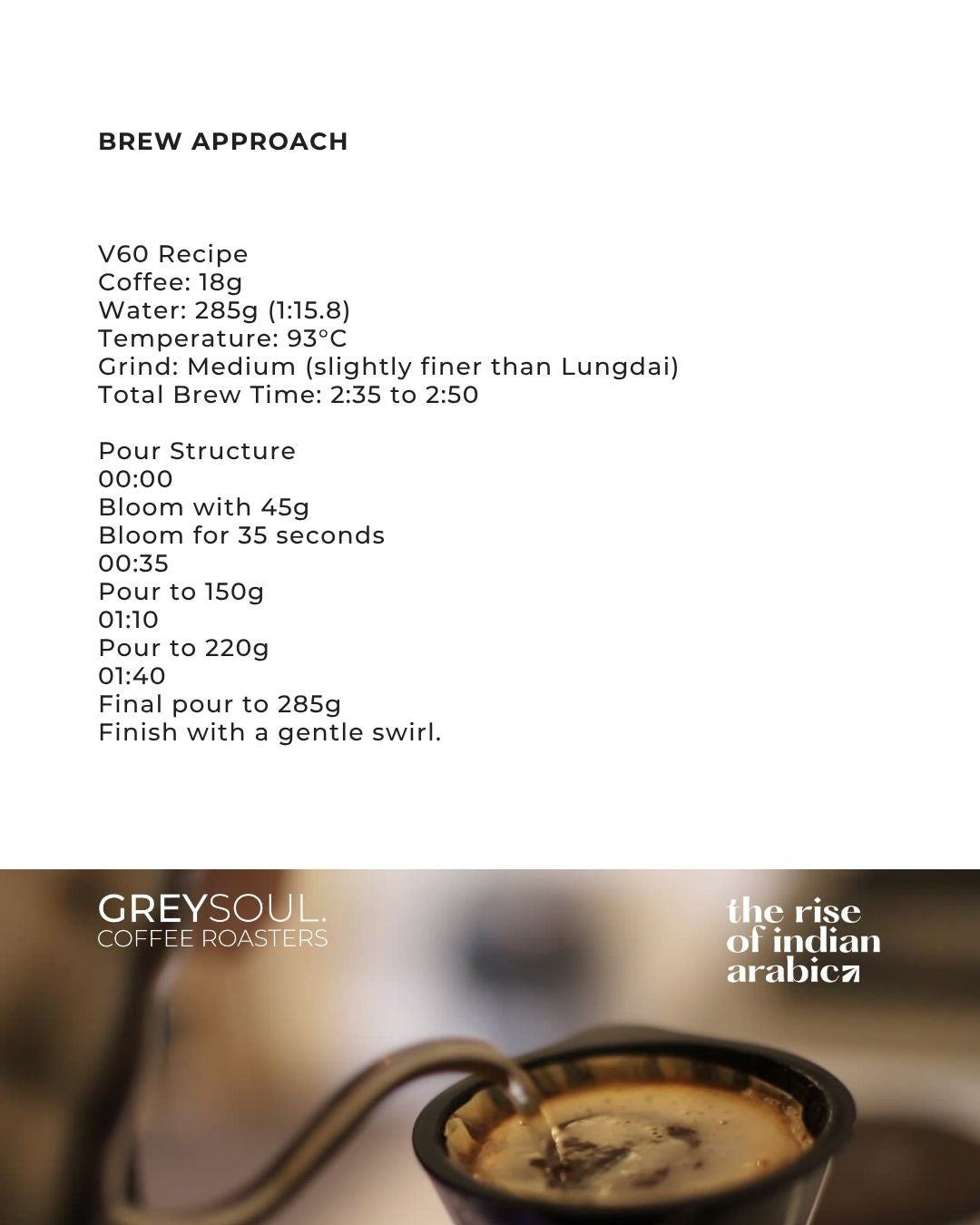 SUPERNATURALS (Light Roast)