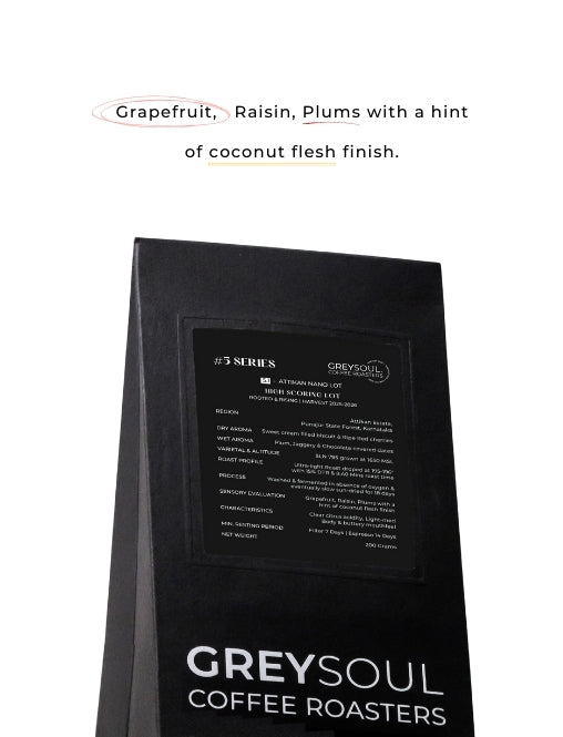 Attikan Nano LOT (Ultra Light Roast)