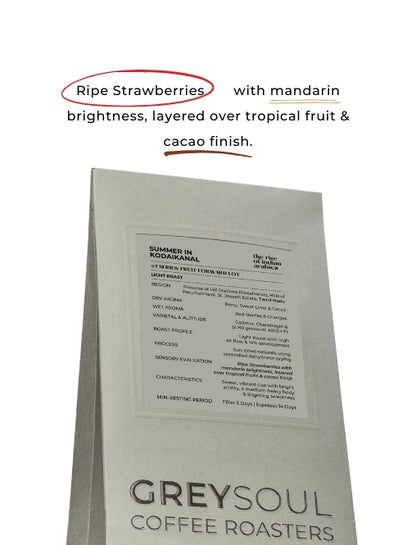 Summer in Kodaikanal (Light Roast)