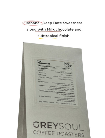 Coffee bag from Greysoul Coffee Roasters with text about coffee flavor profile.